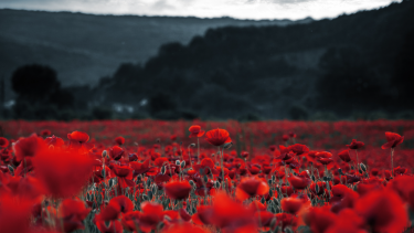 The last post words for remembrance day